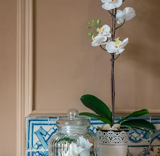 Bed & Breakfast Ph Downtown Lisbon